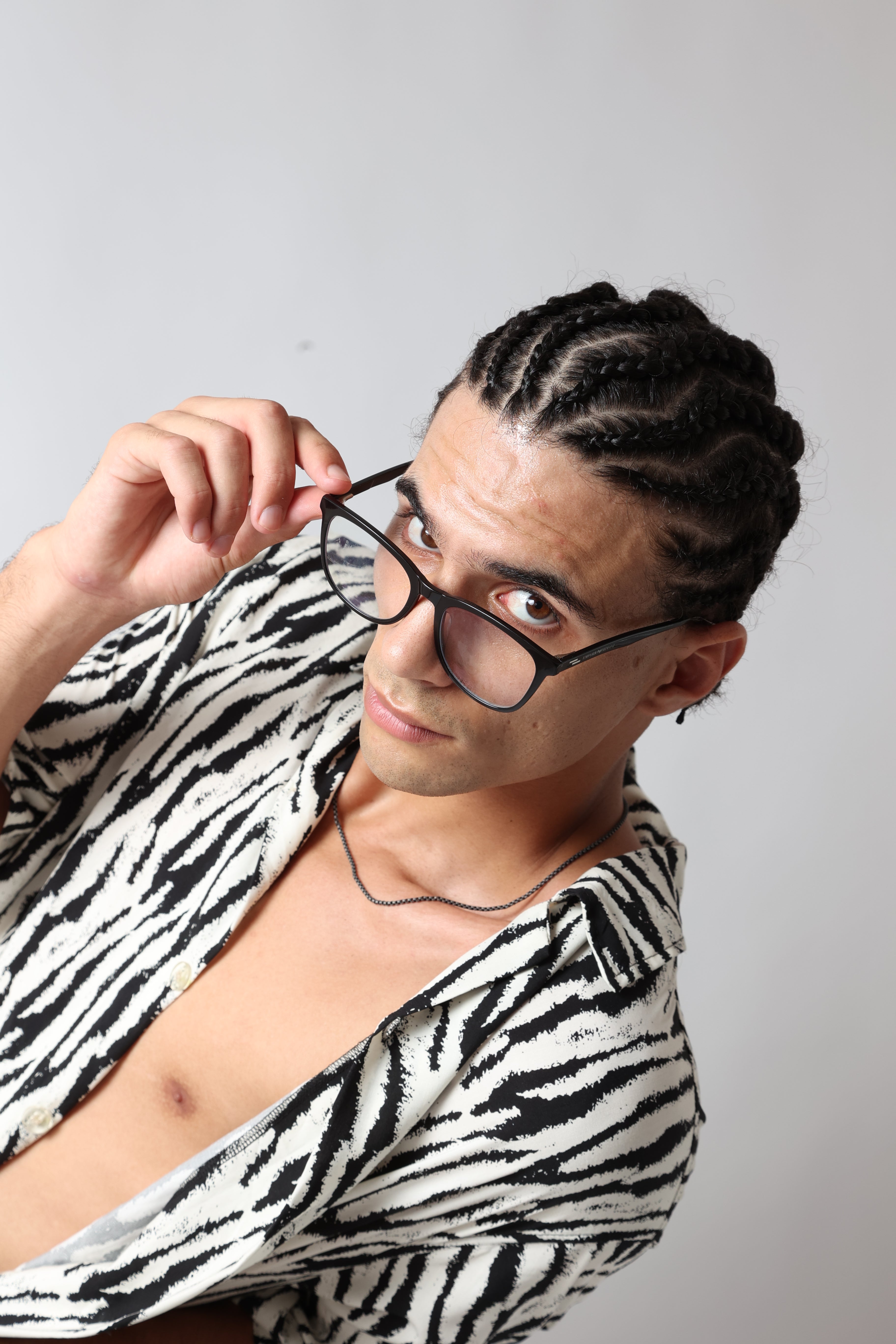 YOSAM Safari Zebra Set